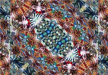 《瘟疫传说：安魂曲》主机版可以达到60帧 需安装首日补丁